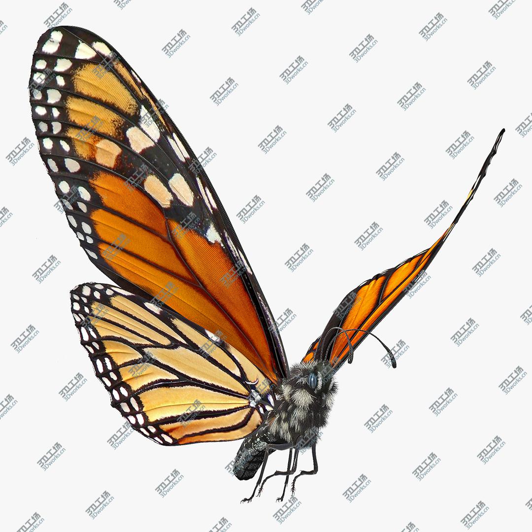 images/goods_img/20210319/Animated Flying Monarch Butterfly Fur Rigged 3D/1.jpg